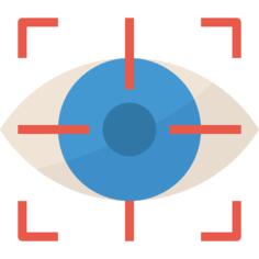 Vision