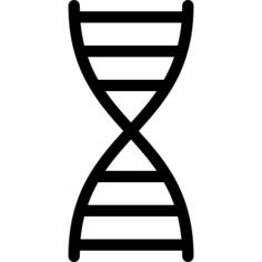 Gene