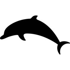 Jumping Dolphin