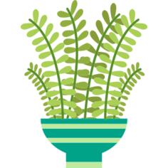 Plant