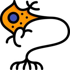 Neuron