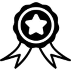 Elections badge with a star