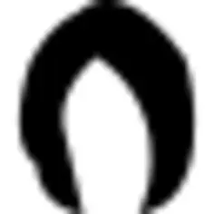 Short hair of rounded external shape