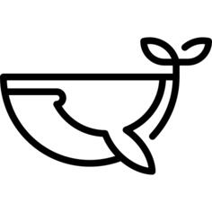 Blue Whale