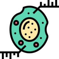 Cell