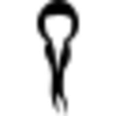 Female long hair with ponytails