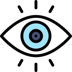 Eye