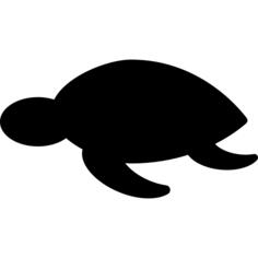 Swimming Turtle