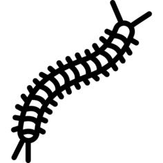 Centipede