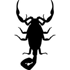 Scorpion insect shape