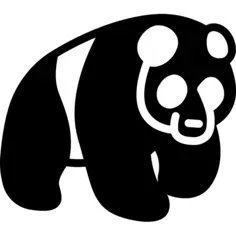 Panda bear