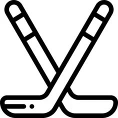 Hockey sticks
