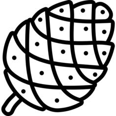 Pine cone