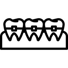 Teeth