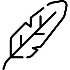 Quill