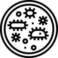 Petri dish