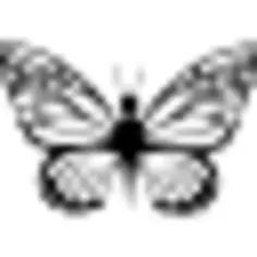 Delicacy of butterfly shapes