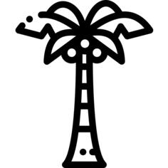 Coconut tree