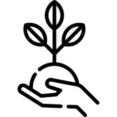 Sprout