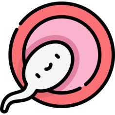 Fertilization