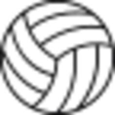 Volleyball ball