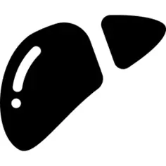 Liver