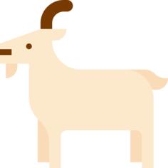 Goat