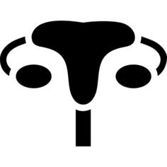 Uterus