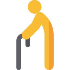Walking stick