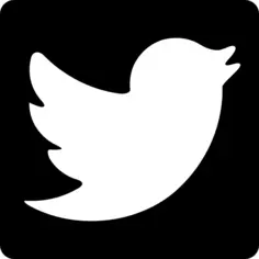 Twitter bird logo shape in a square