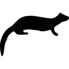 Mammal ferret shape