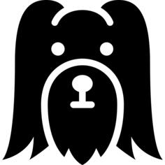 Long haired dog head