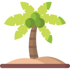 Coconut tree