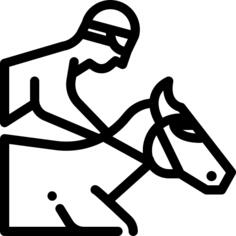 Race horse