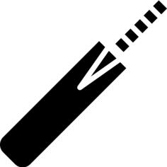 Cricket bat