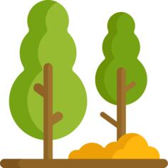 Trees