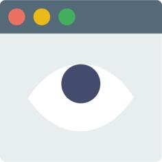 Browser