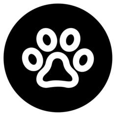 Pet