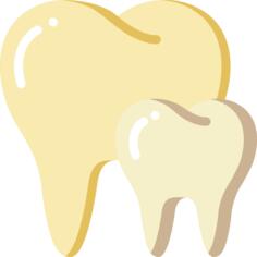 Teeth