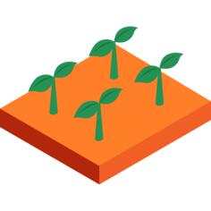 Sprouts