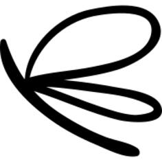 Dragonfly hand drawn insect