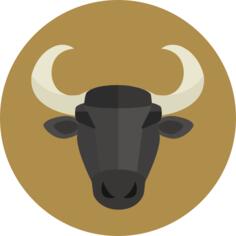 Taurus