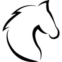 Horse head with hair outline