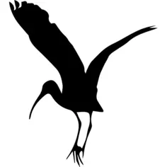 Bird stork shape