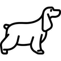 English Cocker Spaniel