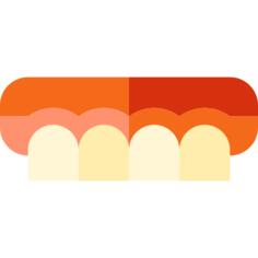 Teeth