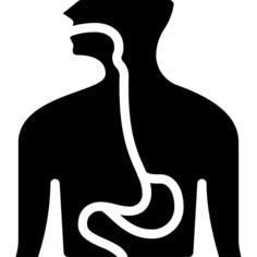 Esophagus