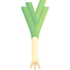 Leek