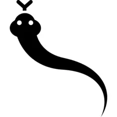 Snake of Brazil
