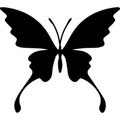 Butterfly silhouette